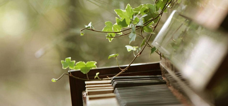 What Spring is Singing about! in NOVAT